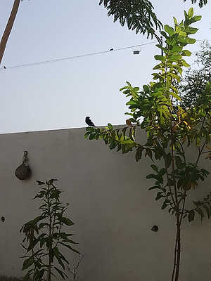 IMG_20250918_080423