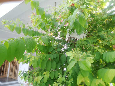 IMG_20250809_165339_MP